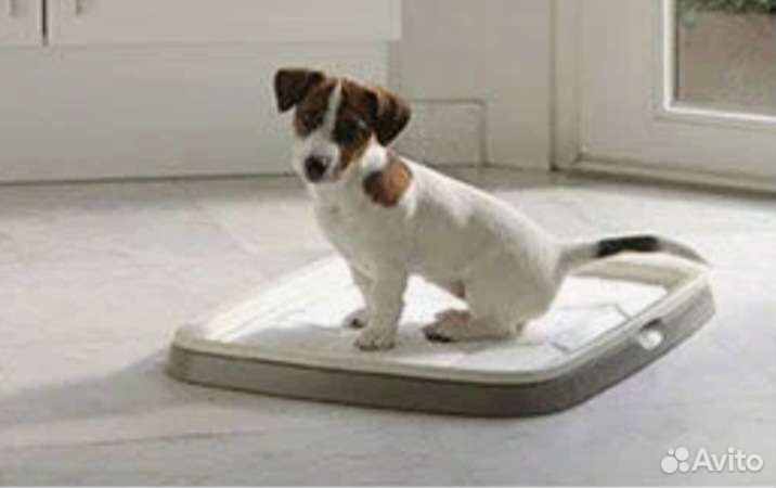 Лоток туалет для собак/кошек под пеленку savic