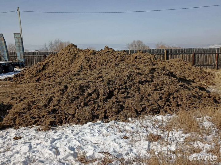 Продам навоз перегной