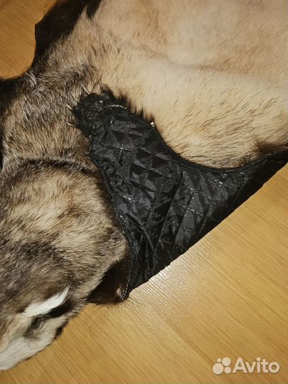 Ковёр из Барсука