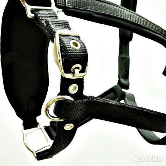 Недоуздок на неопрене для лошадей и пони