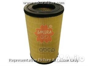 A65510 A65510 Sakura