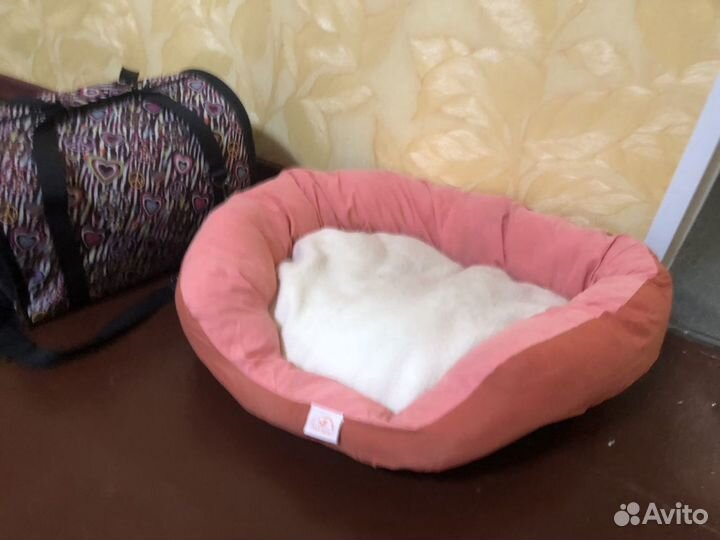 Лежанка для животных