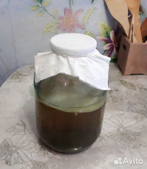 Чайный гриб