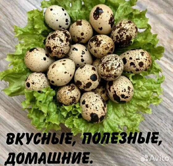 Яйца перепелиные