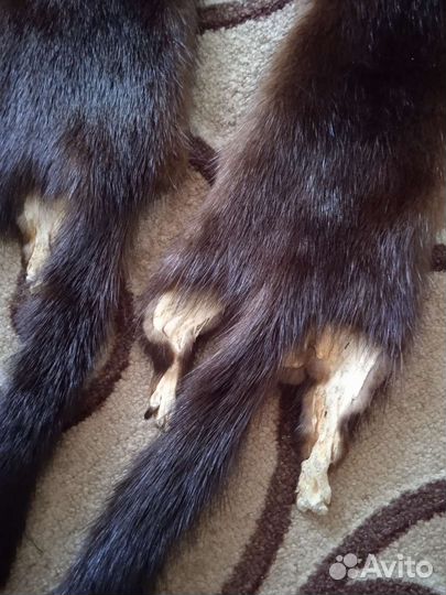 Шкурки норки -чулок