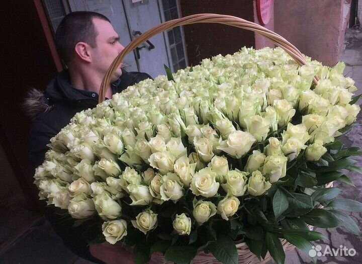 Розы Букеты Цветы Розы 31 101 151 201 Доставка