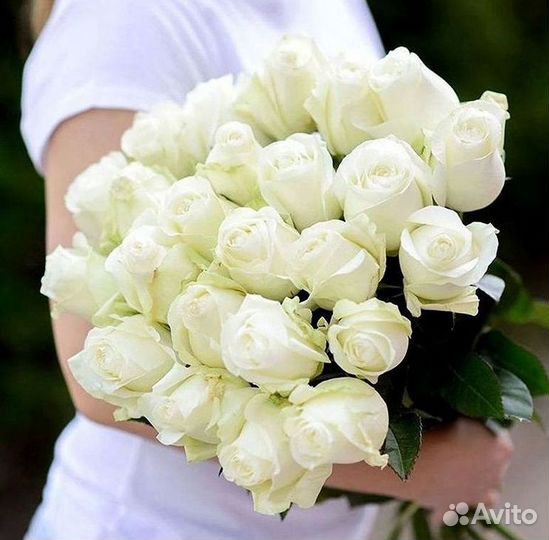 Розы Букеты Цветы Розы 31 101 151 201 Доставка