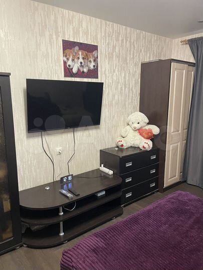 Квартира-студия, 23 м², 2/17 эт.