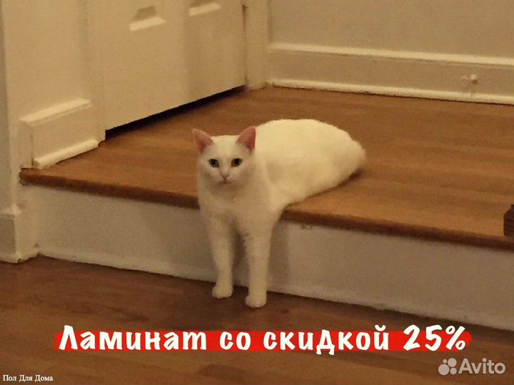 Ламинат