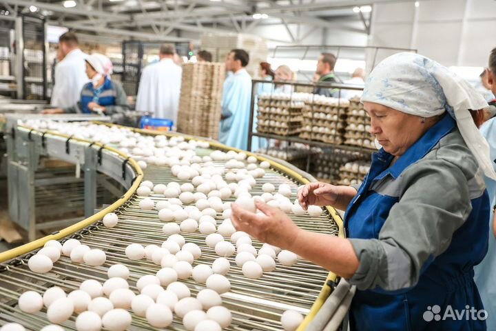 Подсобный рабочий