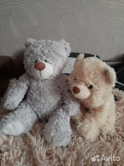 Мишки Тедди