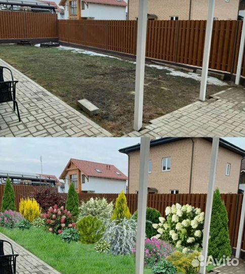 Рулонный,посевной газон