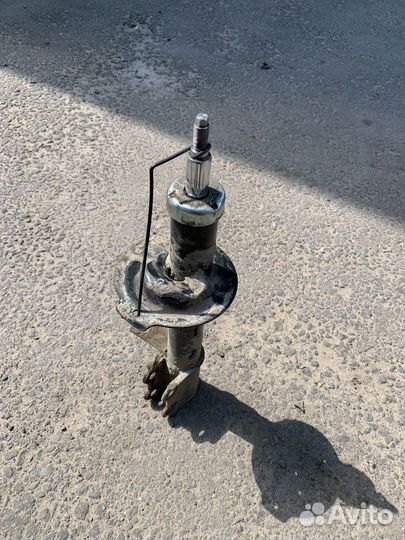 Амантизатор на жентра