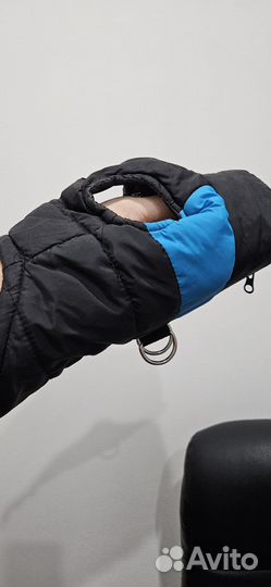 Одежда для собак мелких пород мальчик