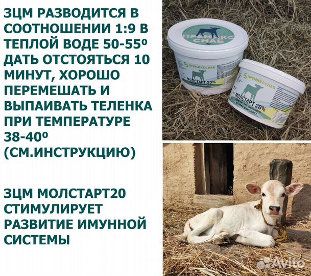 Зцм для телят Молстарт 20