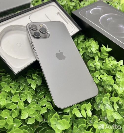 iPhone 12 Pro Graphite