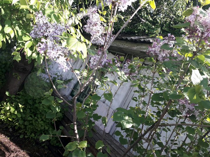 Дом 29 м² на участке 15 сот.