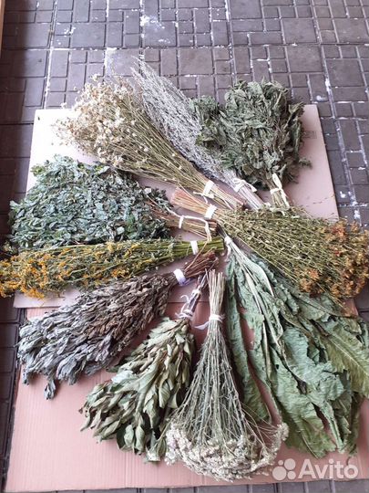 Веники дубовые