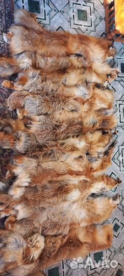 Шкуры лисы