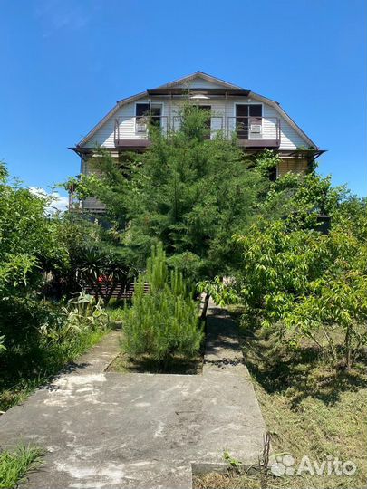 Отдых в Абхазии