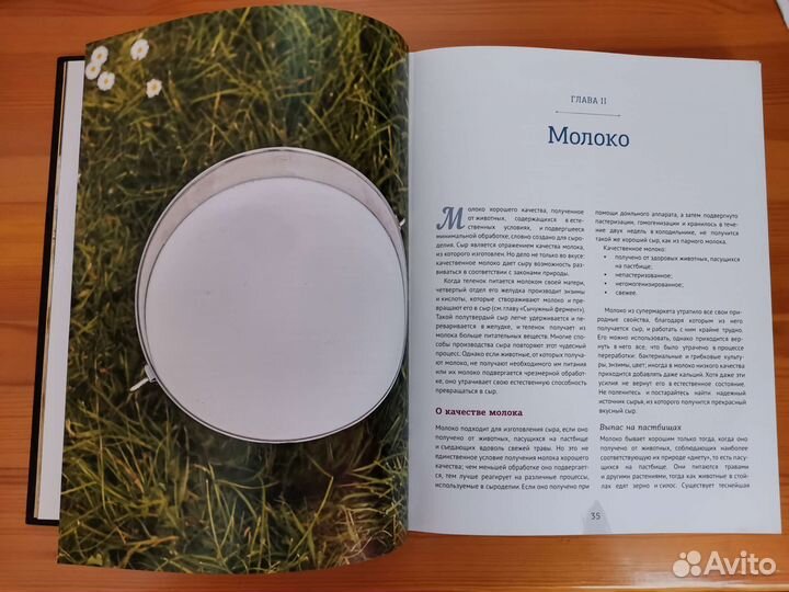 Дэвид Эшер - Искусство натурального сыроделия