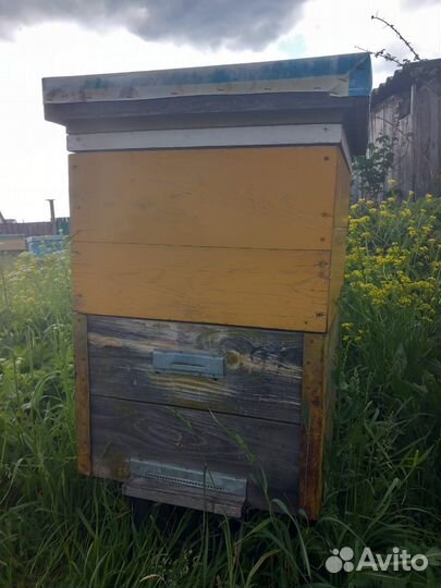 Улей для пчел бу