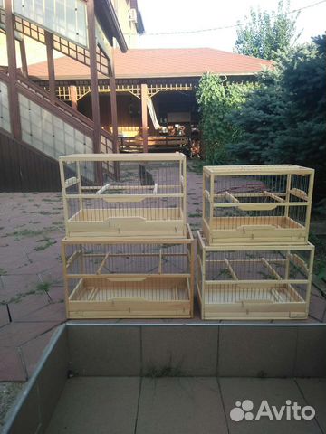 Птицы и клетки для птиц