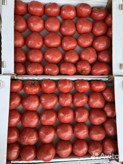 Азербайджанские помидоры