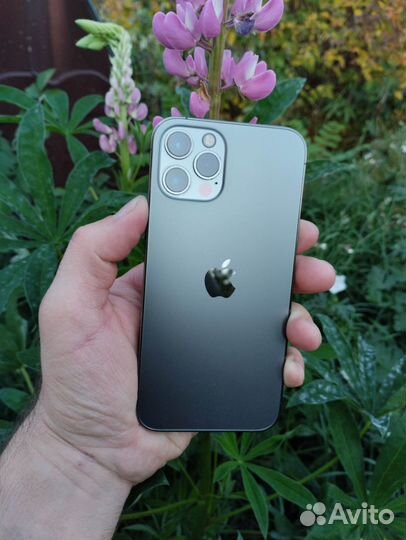 iPhone 12 pro 256 gb