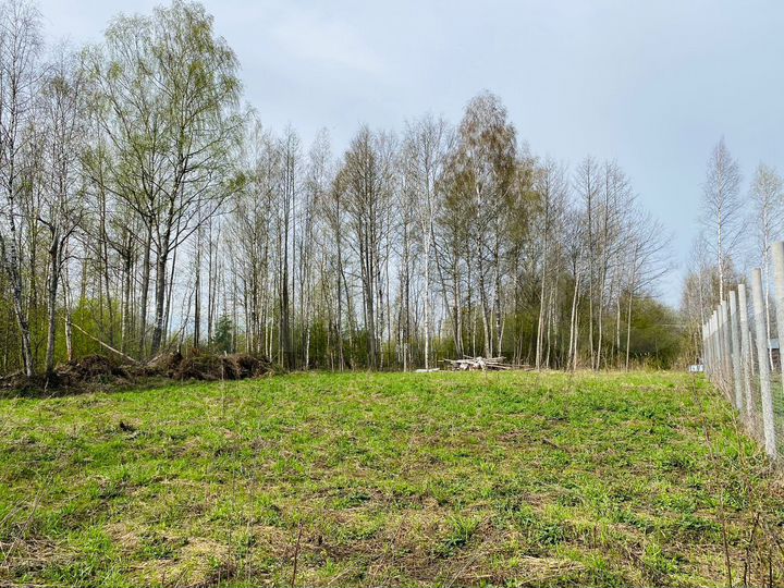 Участок 10 сот. (СНТ, ДНП)