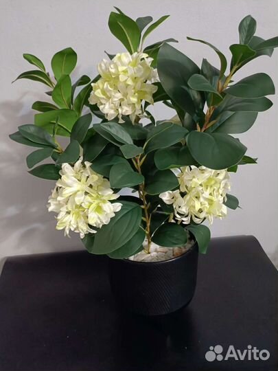 Куст с цветами в кашпо