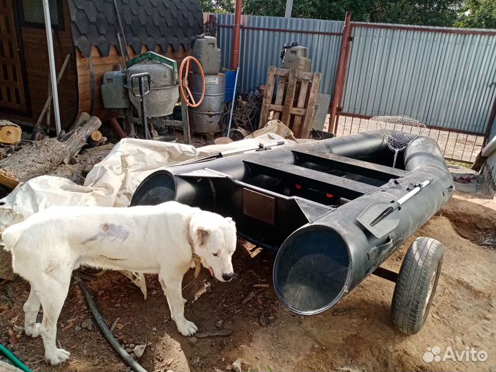 Продажа лодки дельфин