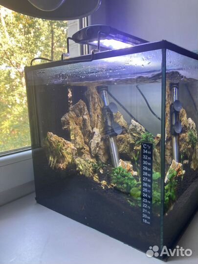 Аквариум куб
