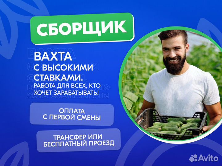 Упаковщик на крупный склад Устройство за день