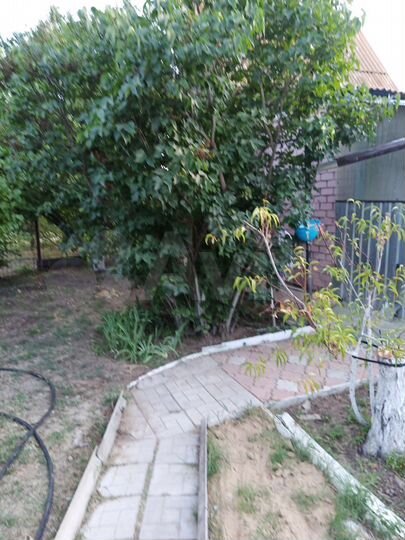 Дача 20 м² на участке 6 сот.