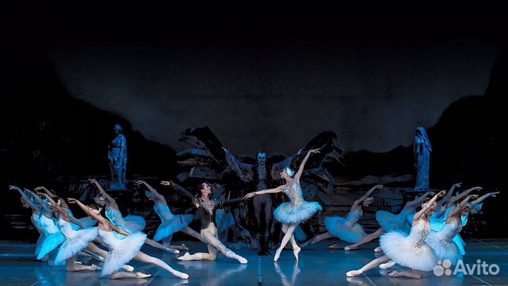 Билеты на балет Лебединое озеро Кремль