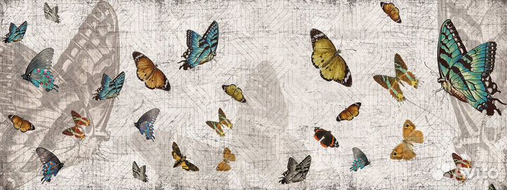 Обои Animals by Momenti CAN-01