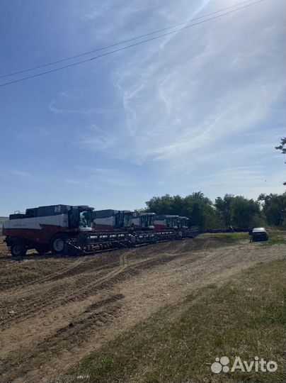 Услуги по уборке урожая