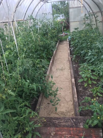 Дача 72 м² на участке 8 сот.