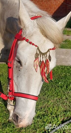 Чубарая кобыла