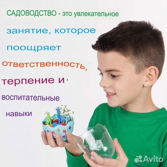 Мини-сад: яйцо динозавров с семенами чиа