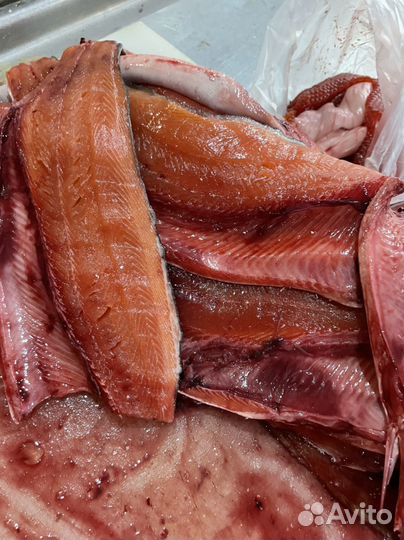 Горбуша свежая мороженая