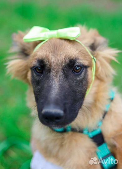 Забери меня домой