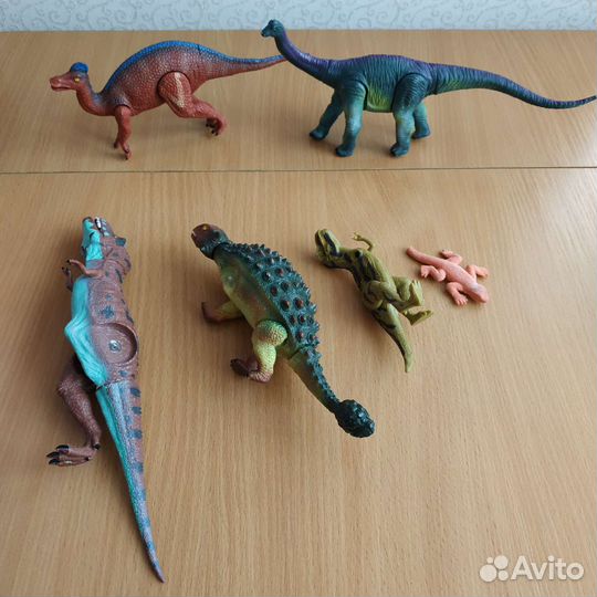 Коллекция динозавров, книги, кости и халат