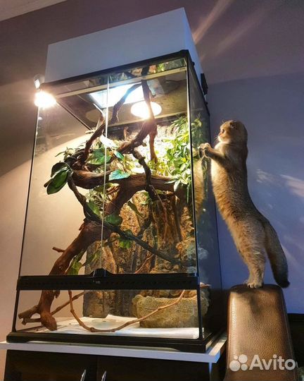 Террариум exo terra