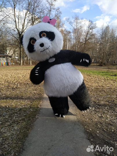 Панда на праздник