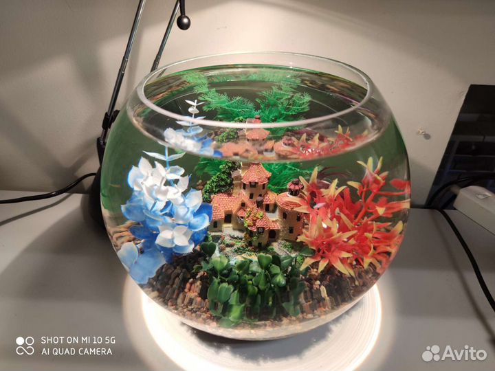 Аквариум с декором для петушка