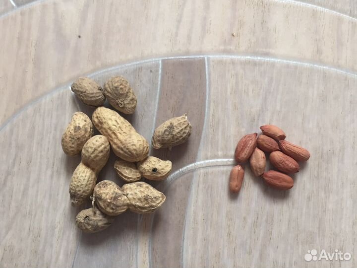 Лакомства для грызунов на развес