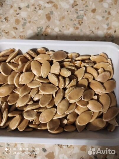 Семена тыквы