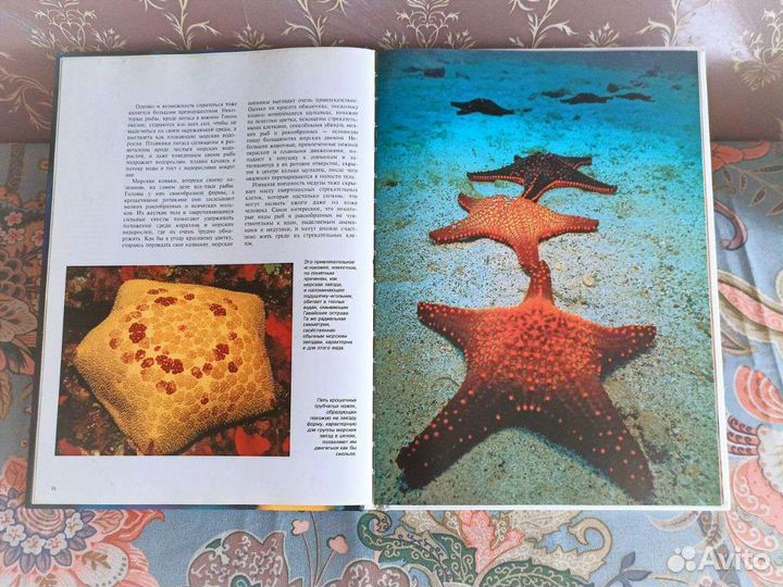 Энциклопедия животный мир